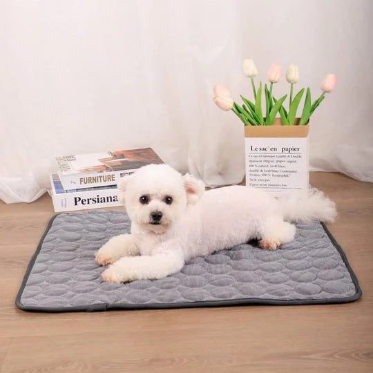 Kjølematten – Beskytter mot overoppheting