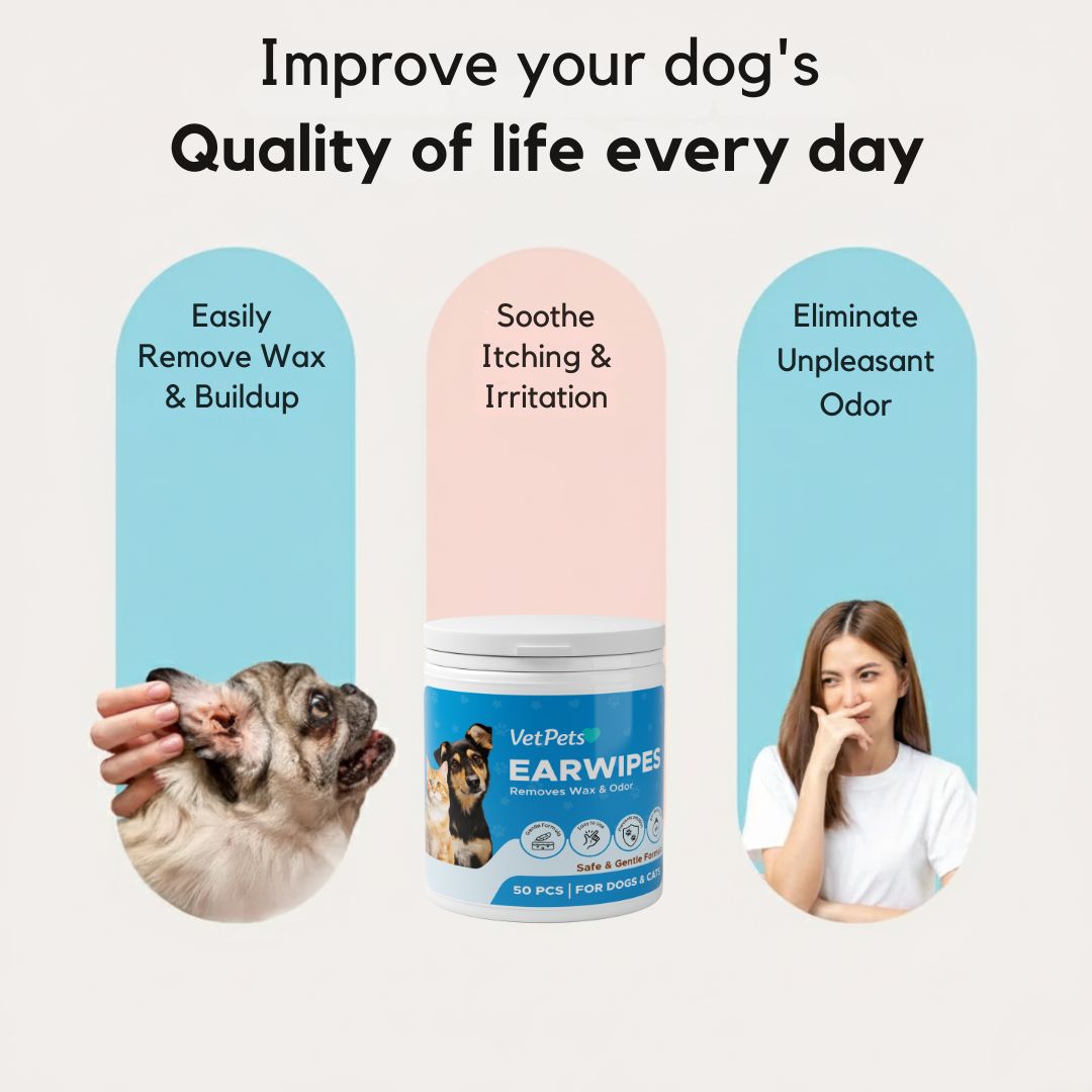 EarWipes Kit - Beskytter Mot Oreproblemer
