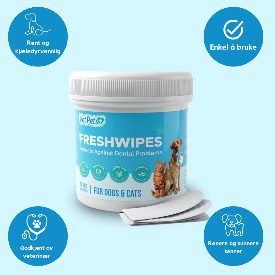 FreshWipe Kit - Beskytter mot tannproblemer
