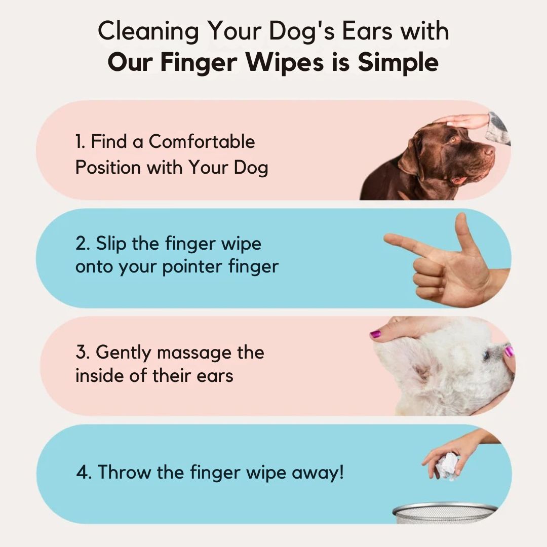 EarWipes Kit - Beskytter Mot Oreproblemer