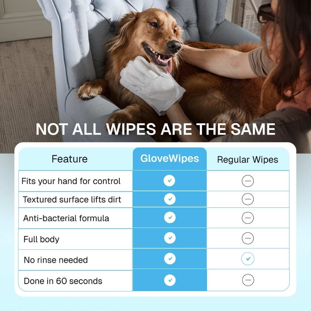 GloveWipes Quick Clean Kit