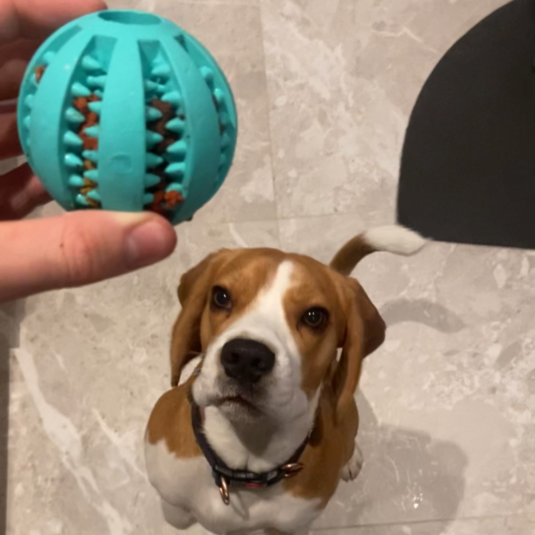 DentalChugge Ball™