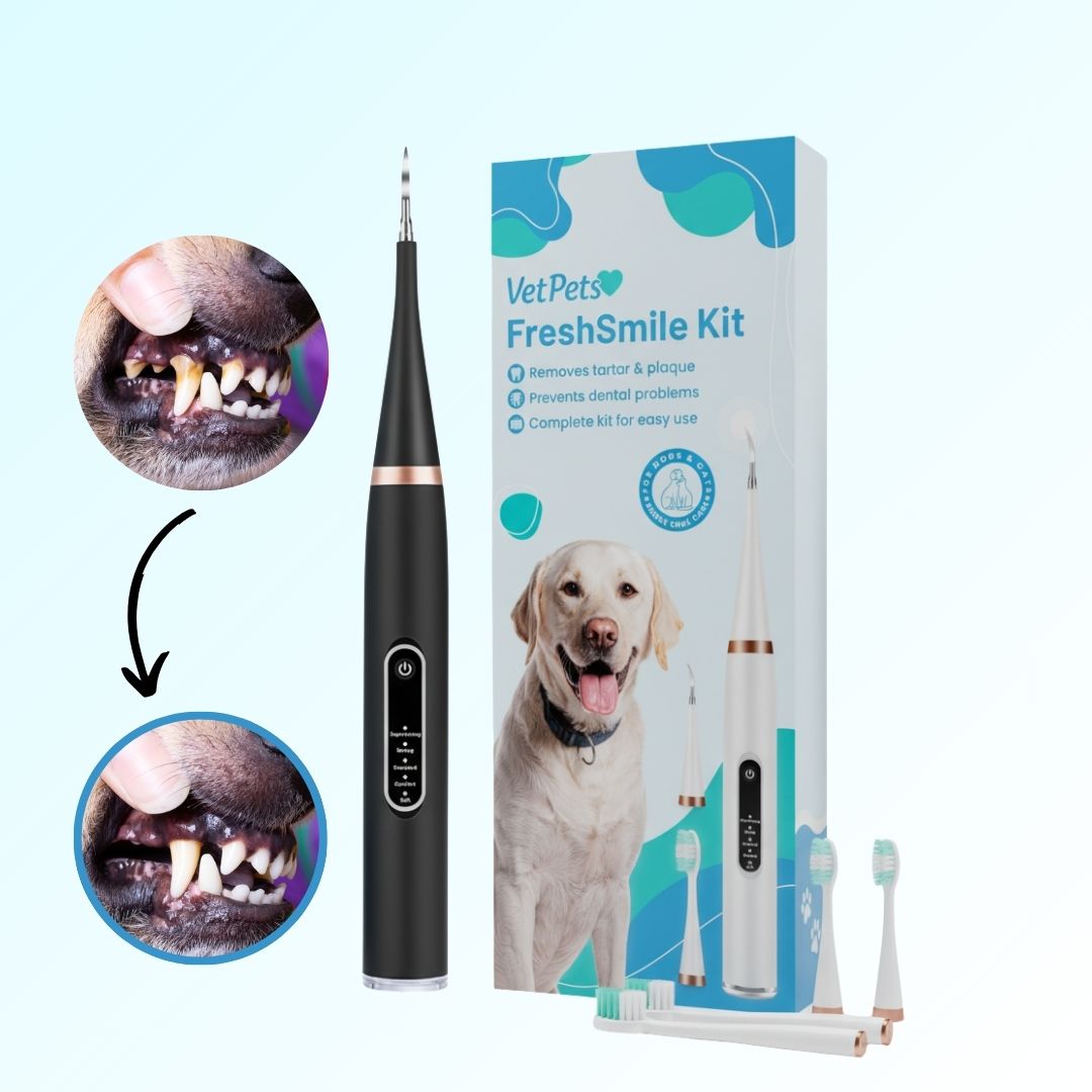 FreshSmile 3-i-1-sett – Trygg tannsteinfjerner