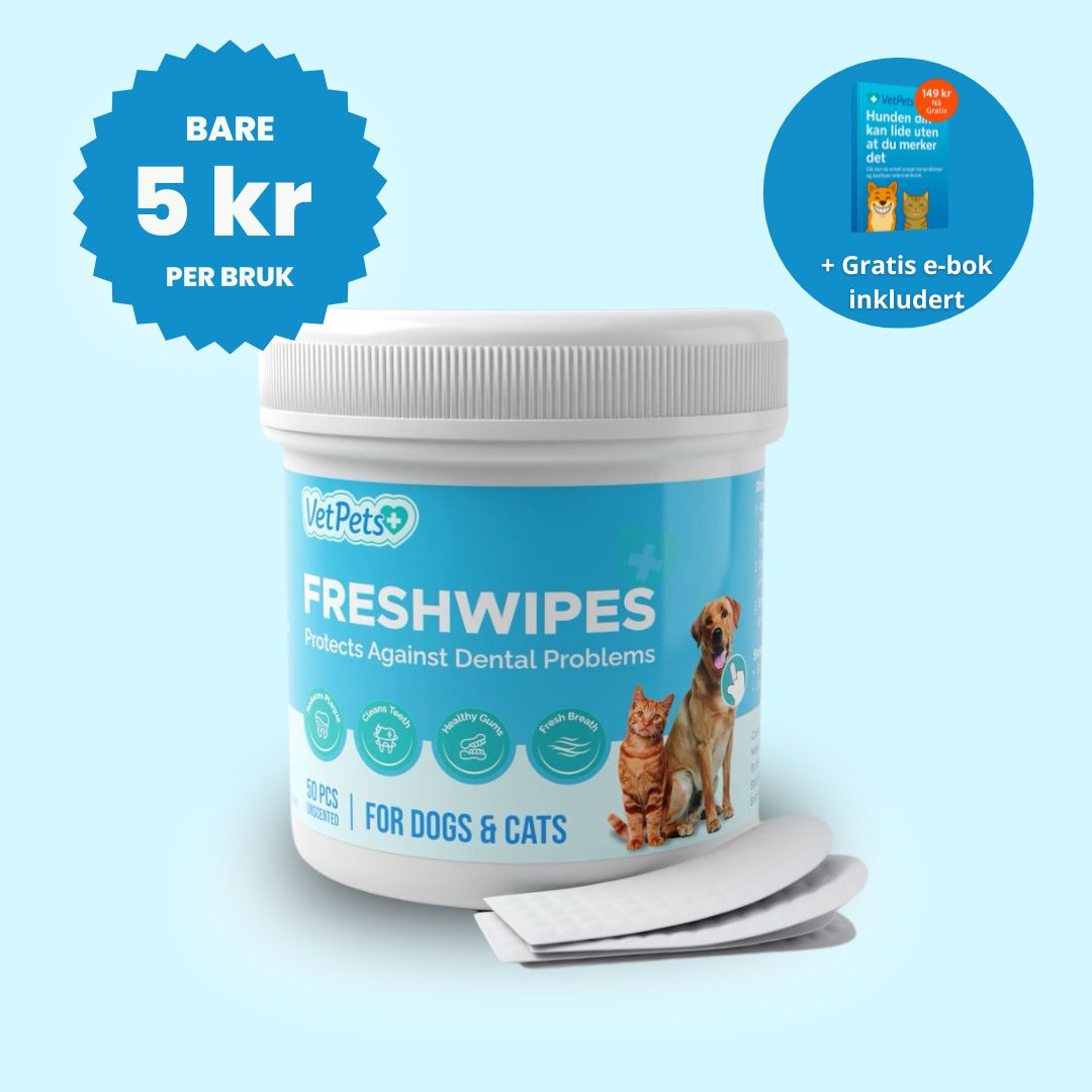 FreshWipe Kit - Beskytter mot tannproblemer