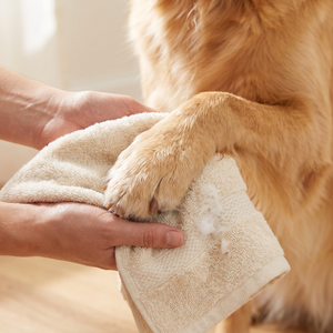 Wipe Dry