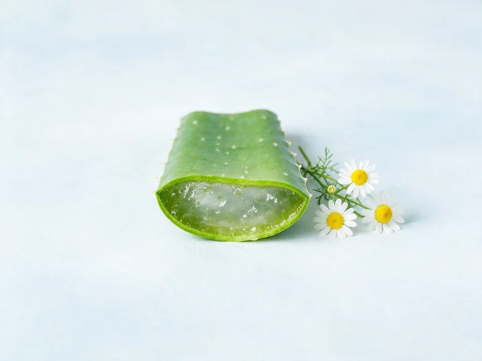 Aloe vera and chamomile, the gentle antibacterial ingredients in EyeWipes