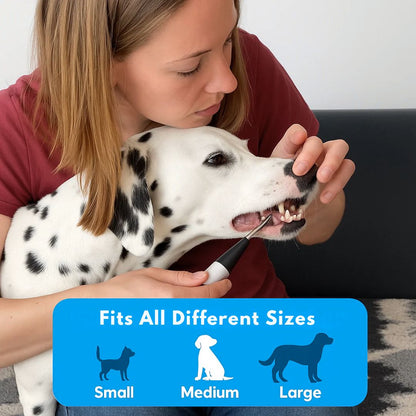 FreshSmile 3-i-1-sett – Trygg tannsteinfjerner