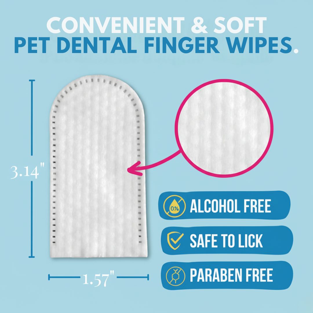 FreshWipes-sett – beskytter mot tannsykdommer