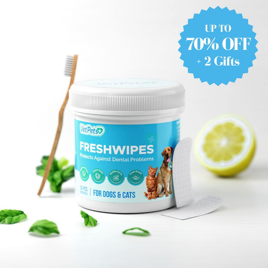 FreshWipe Kit Cats – Beskytter mot tannproblemer