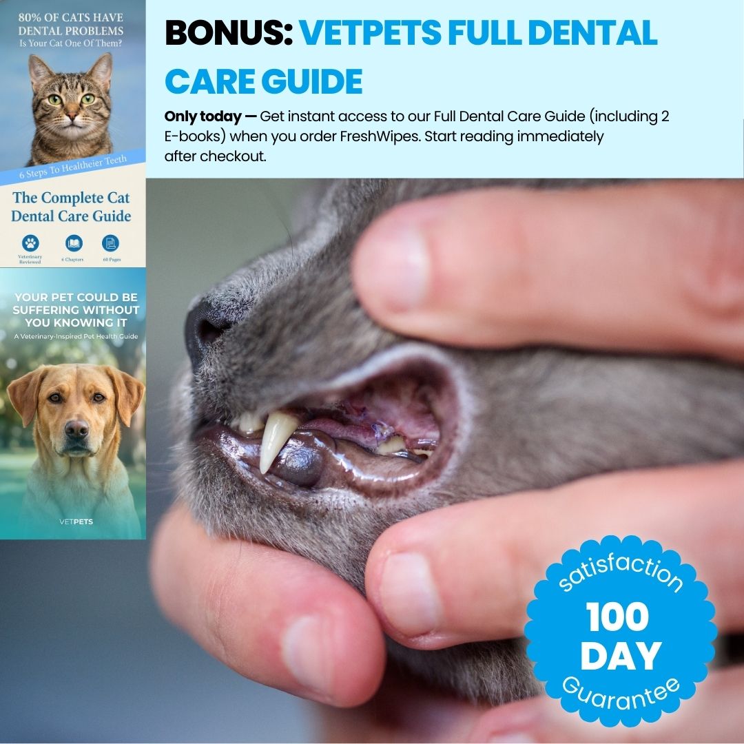 FreshWipe Kit Cats – Beskytter mot tannproblemer