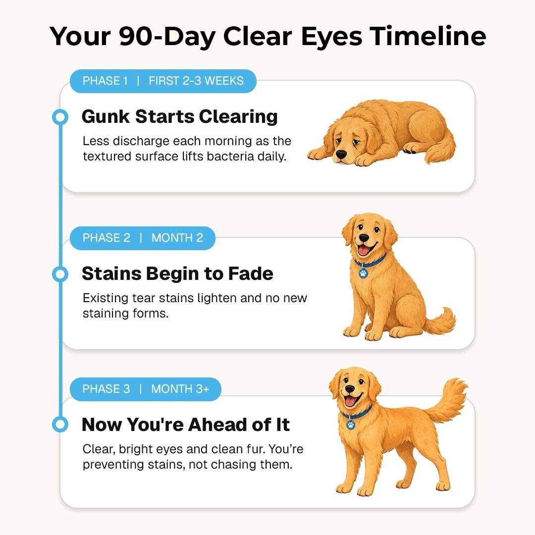 EyeWipes Kit - Beskytter Not Oyeproblemer