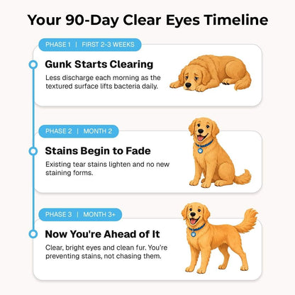 EyeWipes Kit - Beskytter Not Oyeproblemer