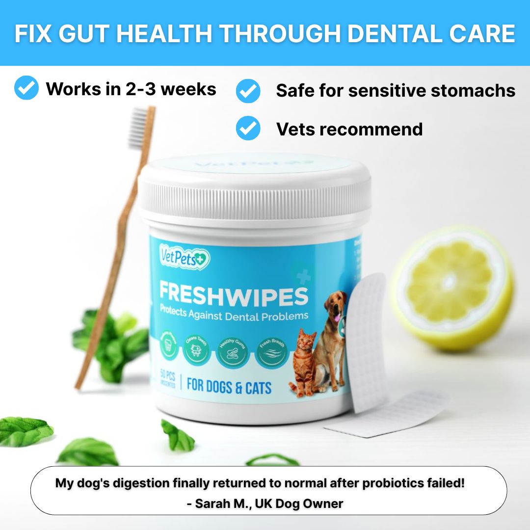 FreshWipes-sett – beskytter mot tannsykdommer