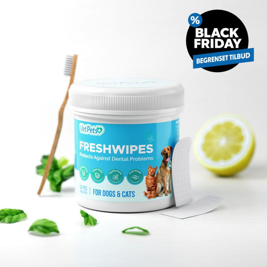 FreshWipe Kit - Beskytter mot tannproblemer