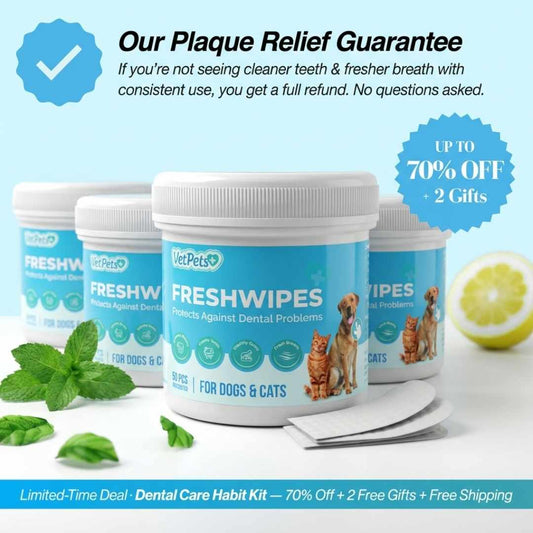 FreshWipes-sett – beskytter mot tannsykdommer