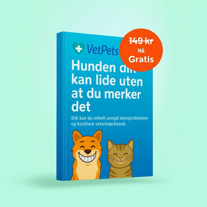 FreshWipe Kit - Beskytter mot tannproblemer