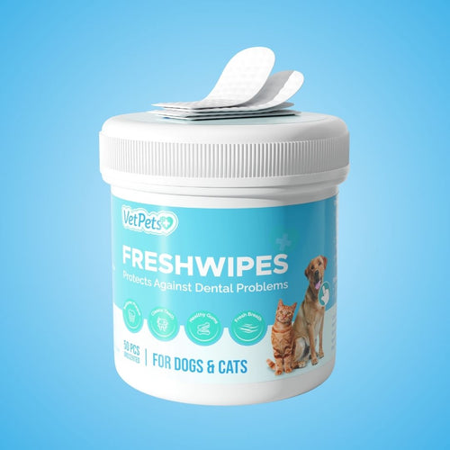 FreshWipes-sett – beskytter mot tannsykdommer