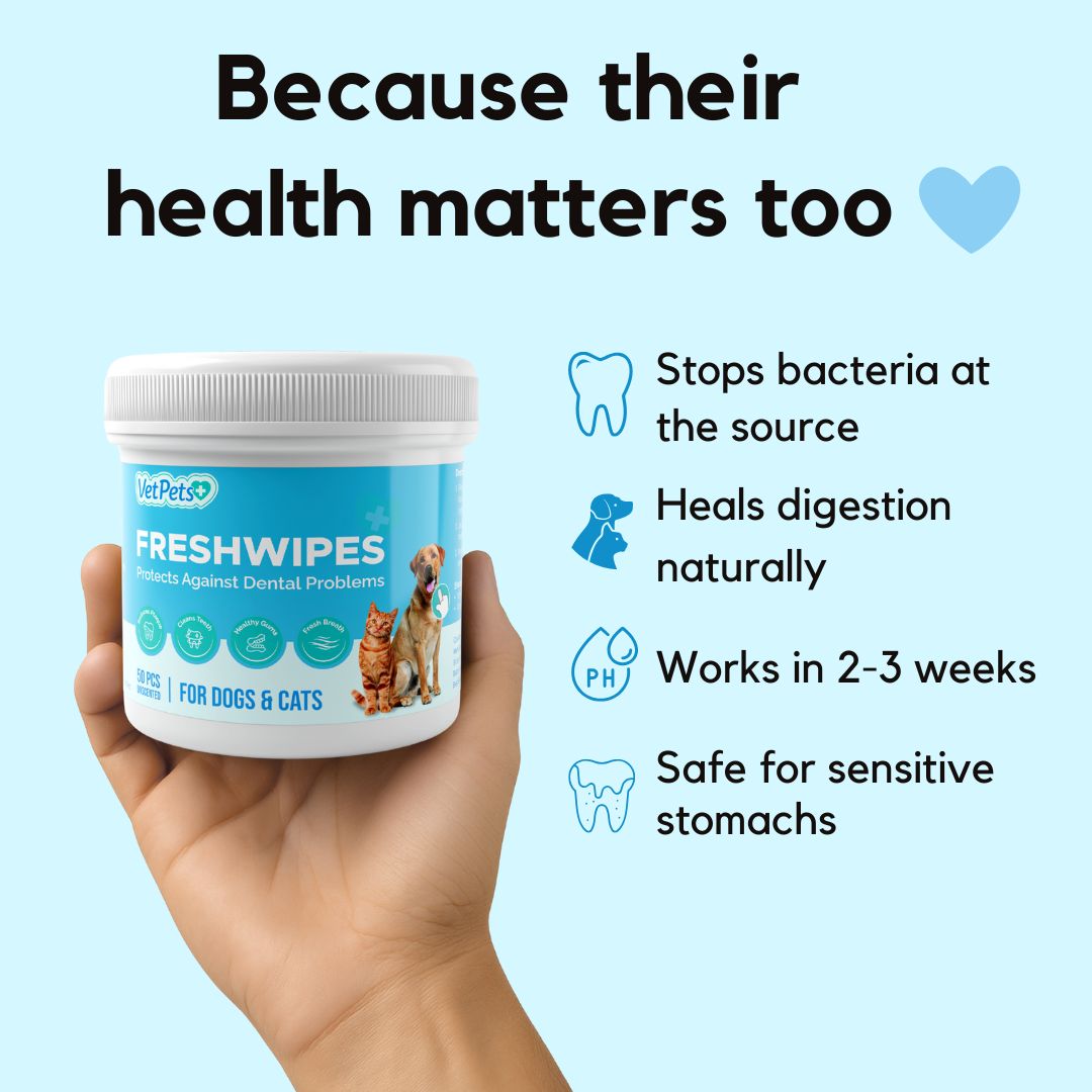 FreshWipes-sett – beskytter mot tannsykdommer