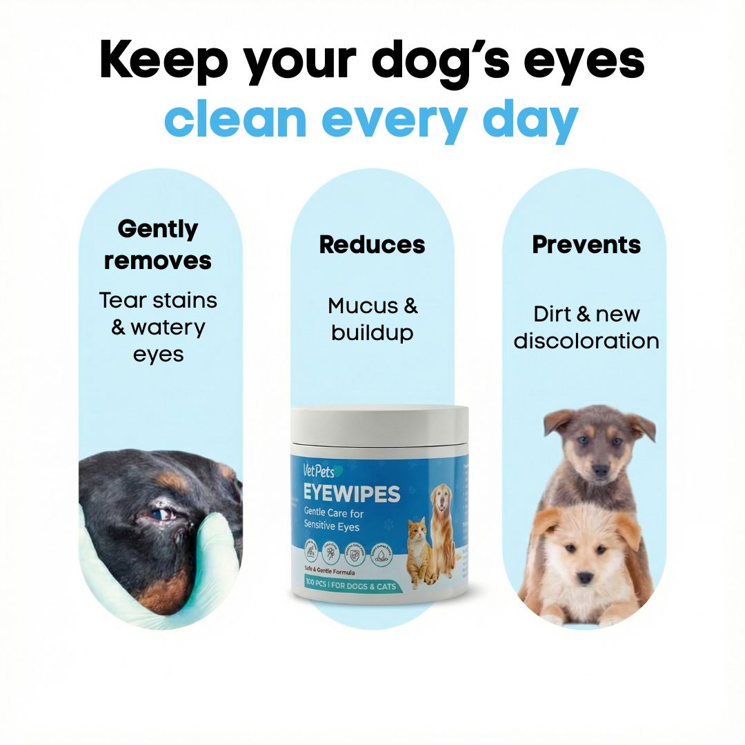 EyeWipes Kit - Beskytter Not Oyeproblemer