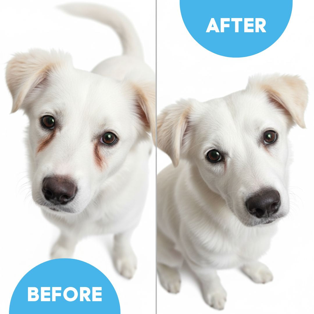 EyeWipes Kit - Beskytter Not Oyeproblemer