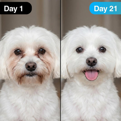 EyeWipes Kit - Beskytter Not Oyeproblemer