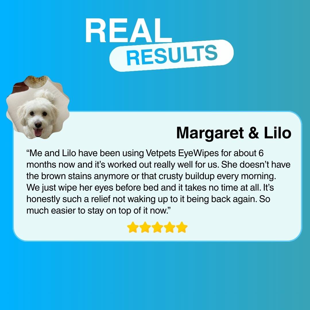 EyeWipes Kit - Beskytter Not Oyeproblemer