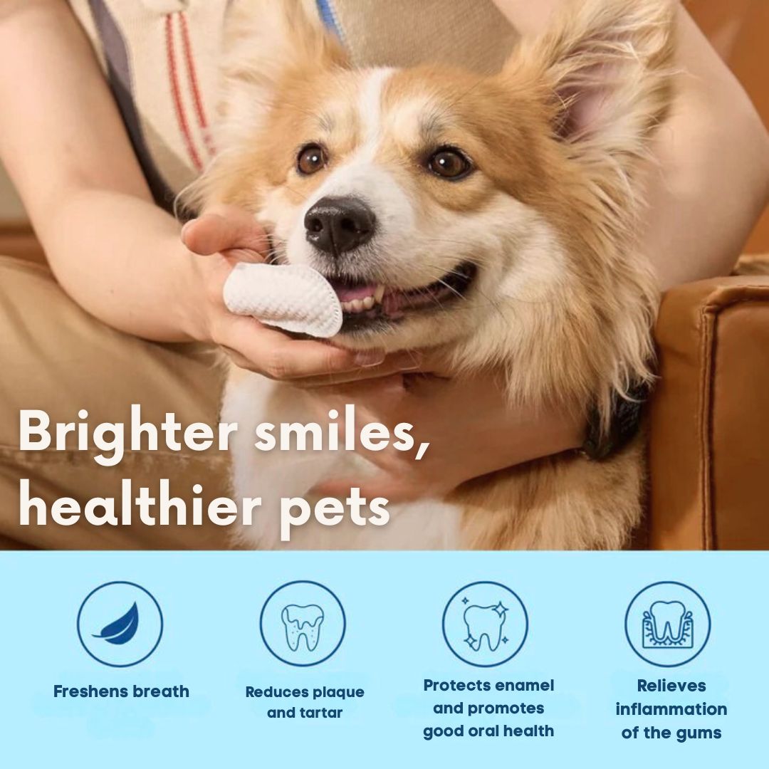 FreshWipes-sett – beskytter mot tannsykdommer