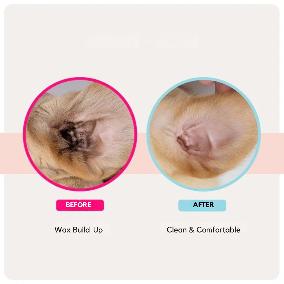 EarWipes Kit - Beskytter Mot Oreproblemer