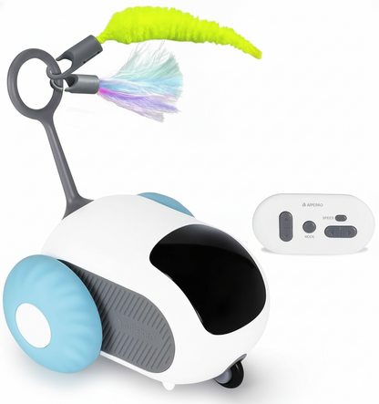 CatCar™️ – Hours of Entertainment