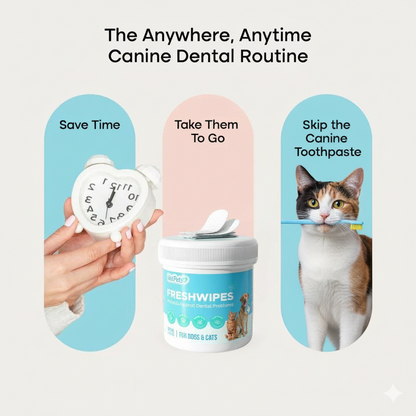 FreshWipe Kit Cats – Beskytter mot tannproblemer