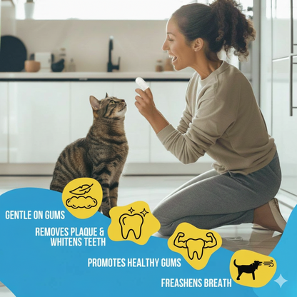 FreshWipe Kit Cats – Beskytter mot tannproblemer