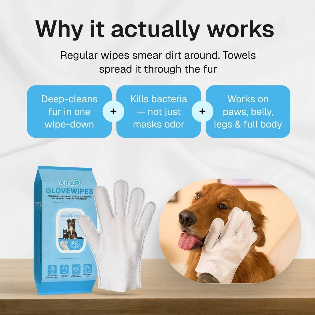 GloveWipes Quick Clean Kit
