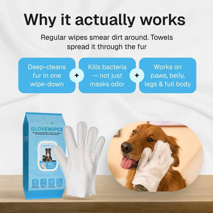 GloveWipes Quick Clean Kit