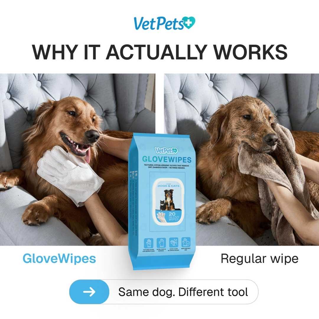 GloveWipes Quick Clean Kit