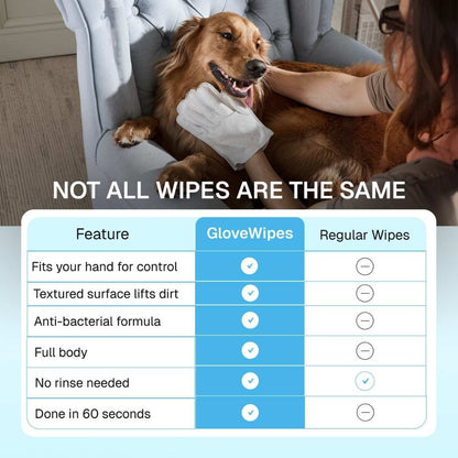 GloveWipes Quick Clean Kit