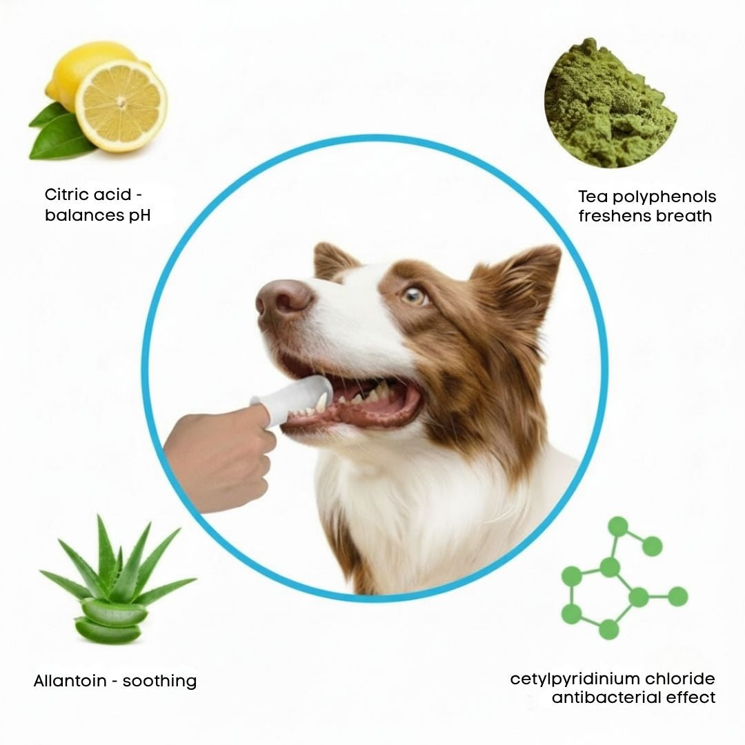 FreshCare Complete Health Kit