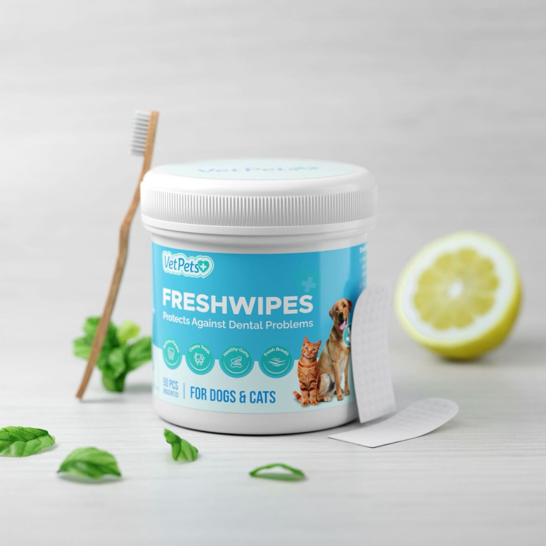 FreshWipe Kit - Beskytter mot tannproblemer