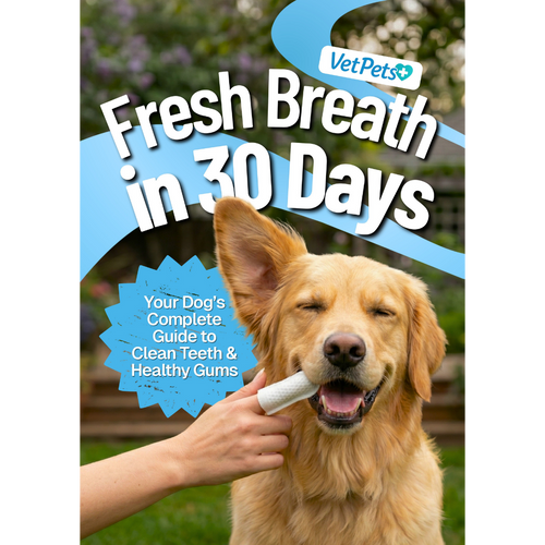 E-book - Fresh Breath in 30 Days (No Toothbrush Needed)