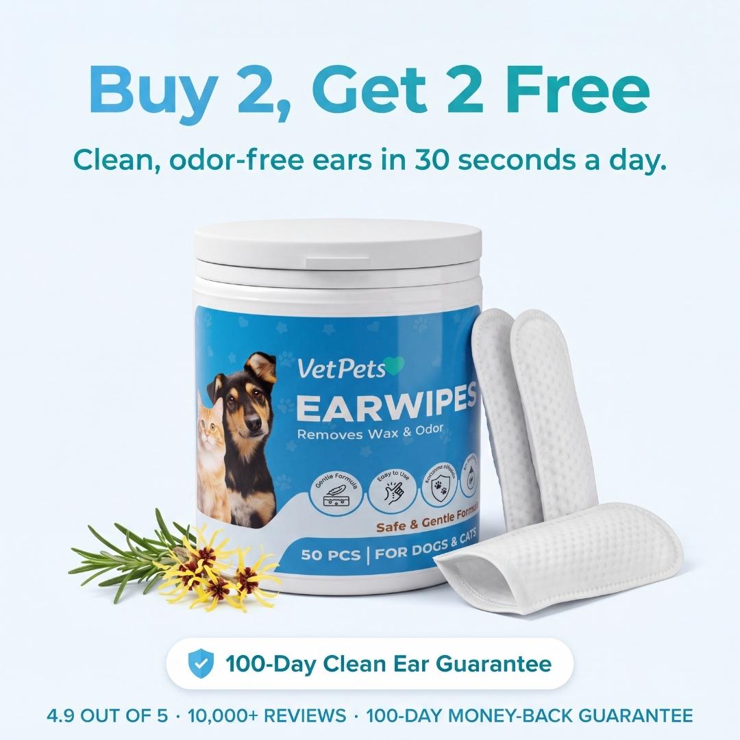 EarWipes Kit - Beskytter Mot Oreproblemer