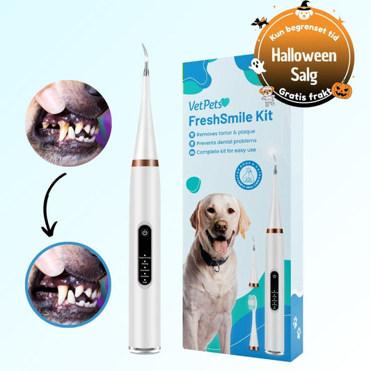 Freshsmile Kit - Trygg Tannpleie Hjemmefra