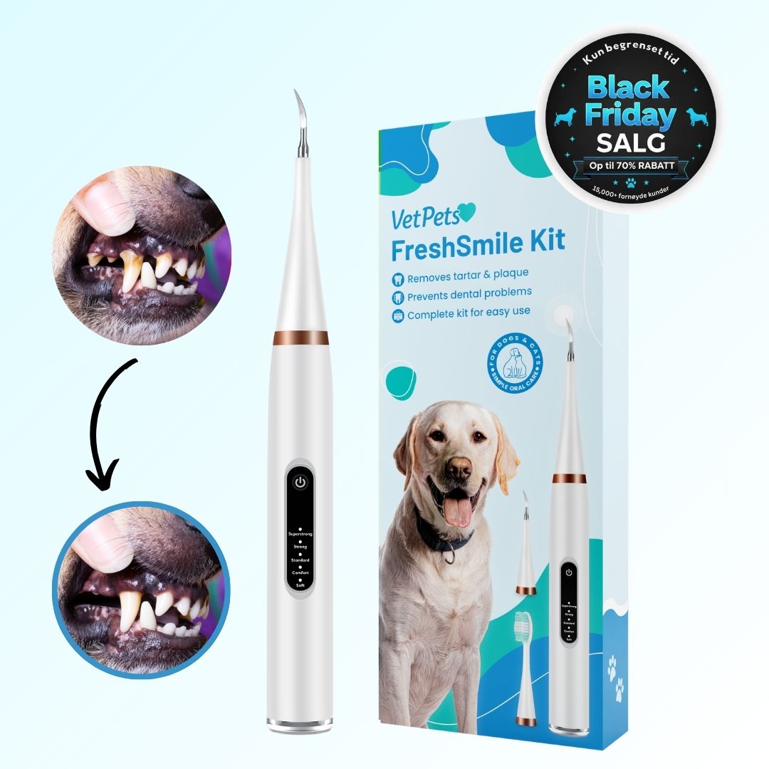 Freshsmile Kit - Trygg Tannpleie Hjemmefra