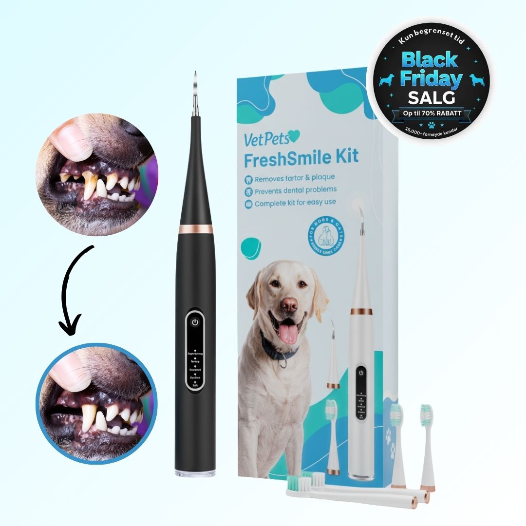 Freshsmile Kit - Trygg Tannpleie Hjemmefra