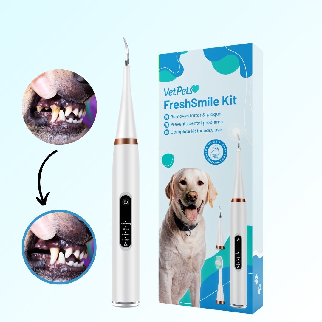FreshSmile 3-i-1-sett – Trygg tannsteinfjerner