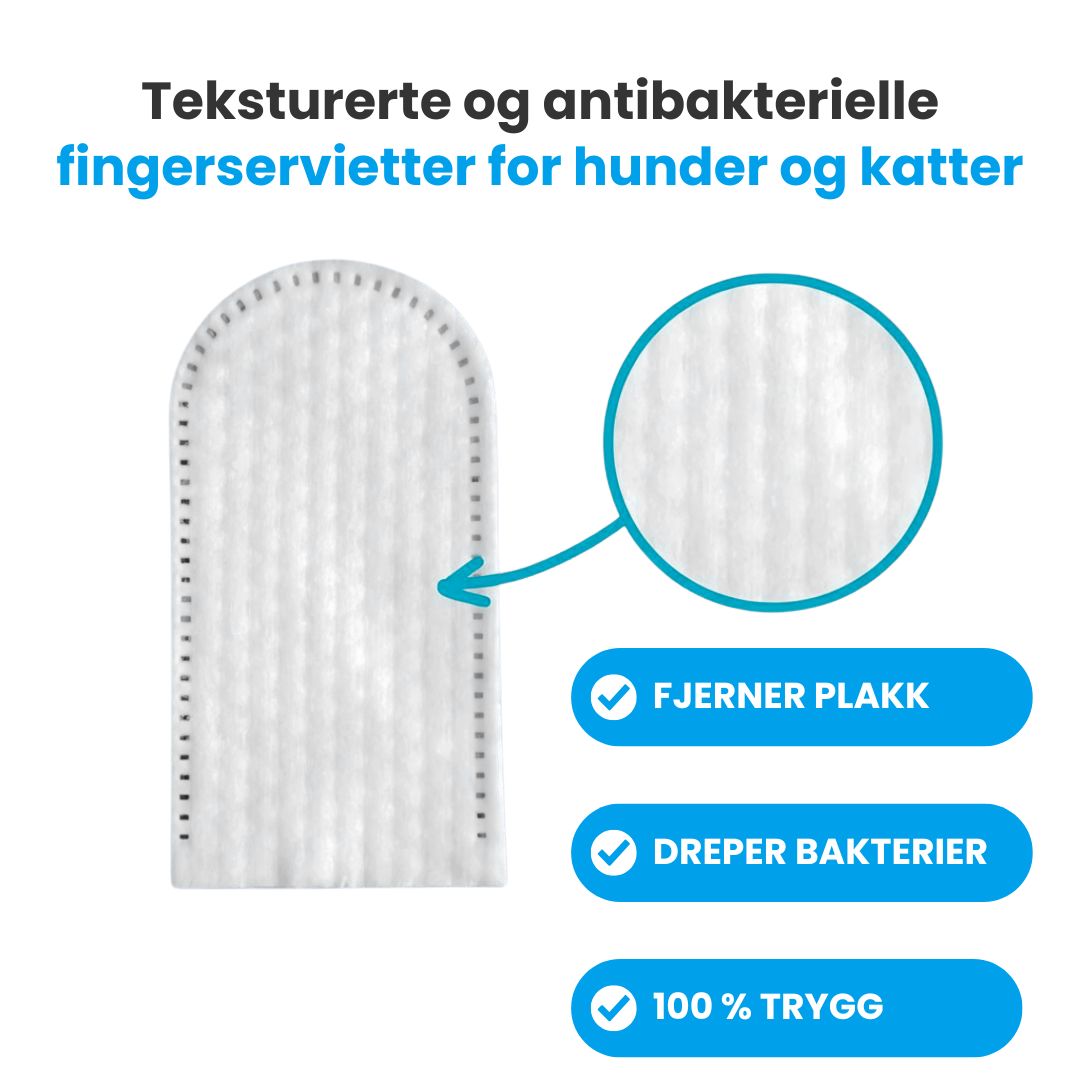 FreshWipe Kit - Beskytter mot tannproblemer