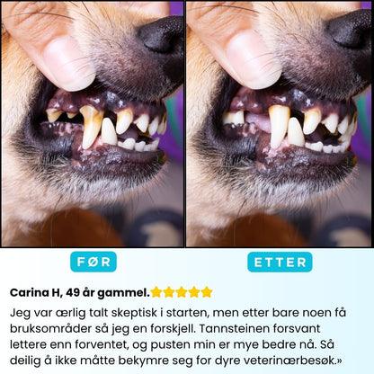 Freshsmile Kit - Trygg Tannpleie Hjemmefra