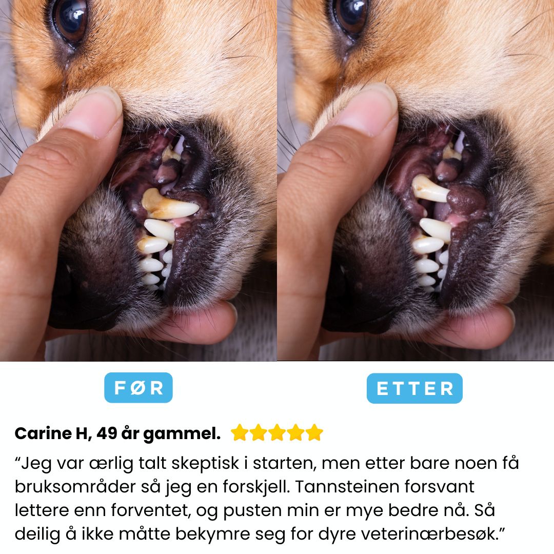Freshsmile Kit - Trygg Tannpleie Hjemmefra