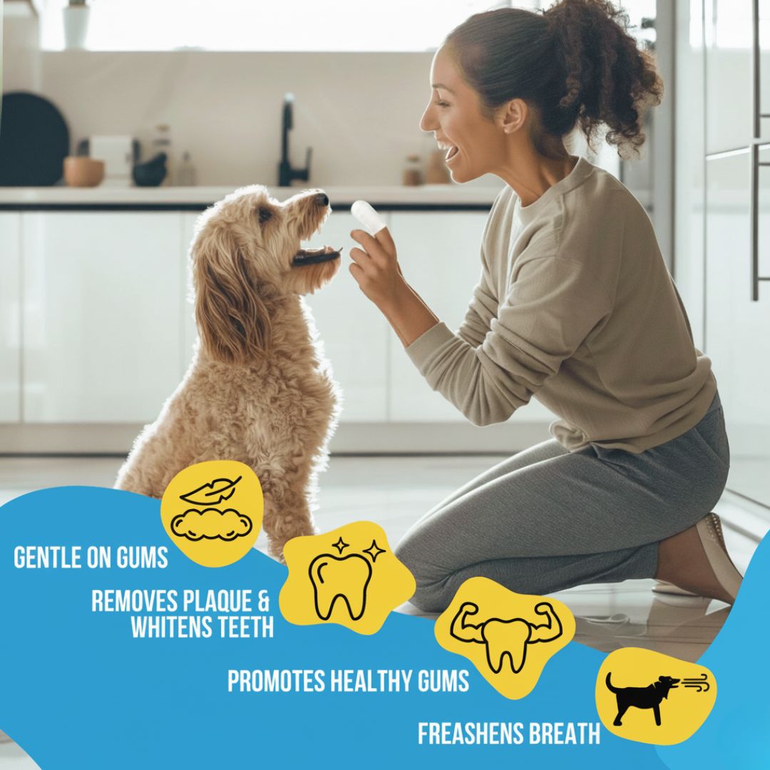 FreshWipes-sett – beskytter mot tannsykdommer