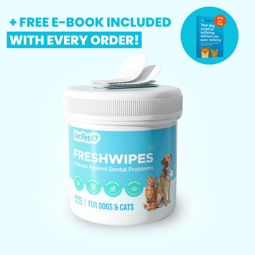 FreshWipes-sett – beskytter mot tannsykdommer