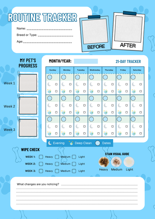 Bright Eyes Routine Tracker