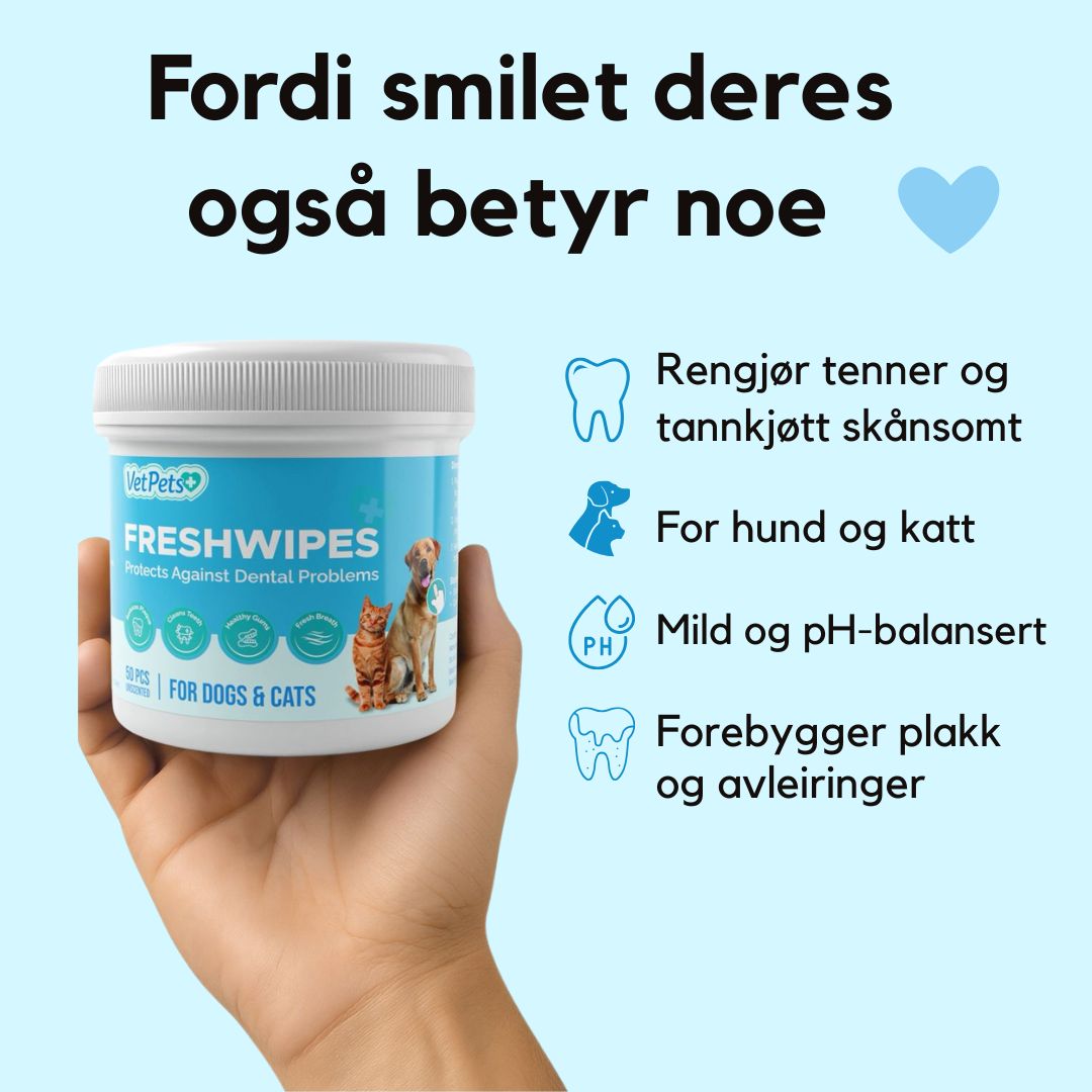 FreshWipe Kit - Beskytter mot tannproblemer
